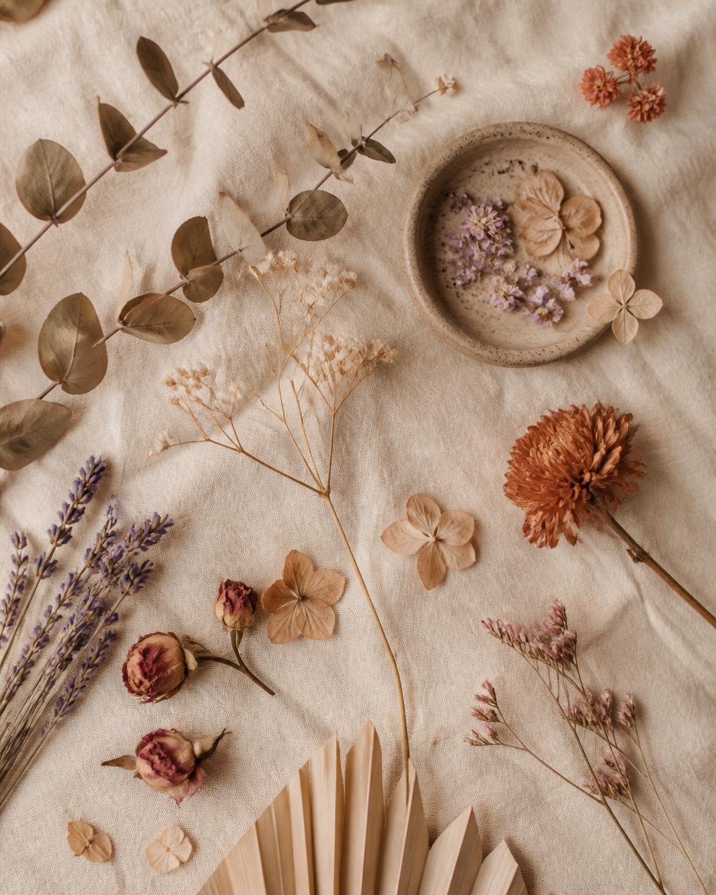 Flores secas, eucalipto e lavanda em tons terracota, lilás e creme, ambiente terapêutico